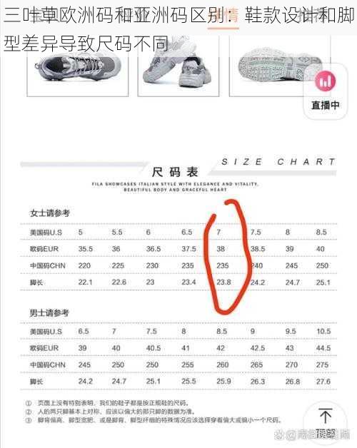 三叶草欧洲码和亚洲码区别:鞋款设计和脚型差异导致尺码不同
