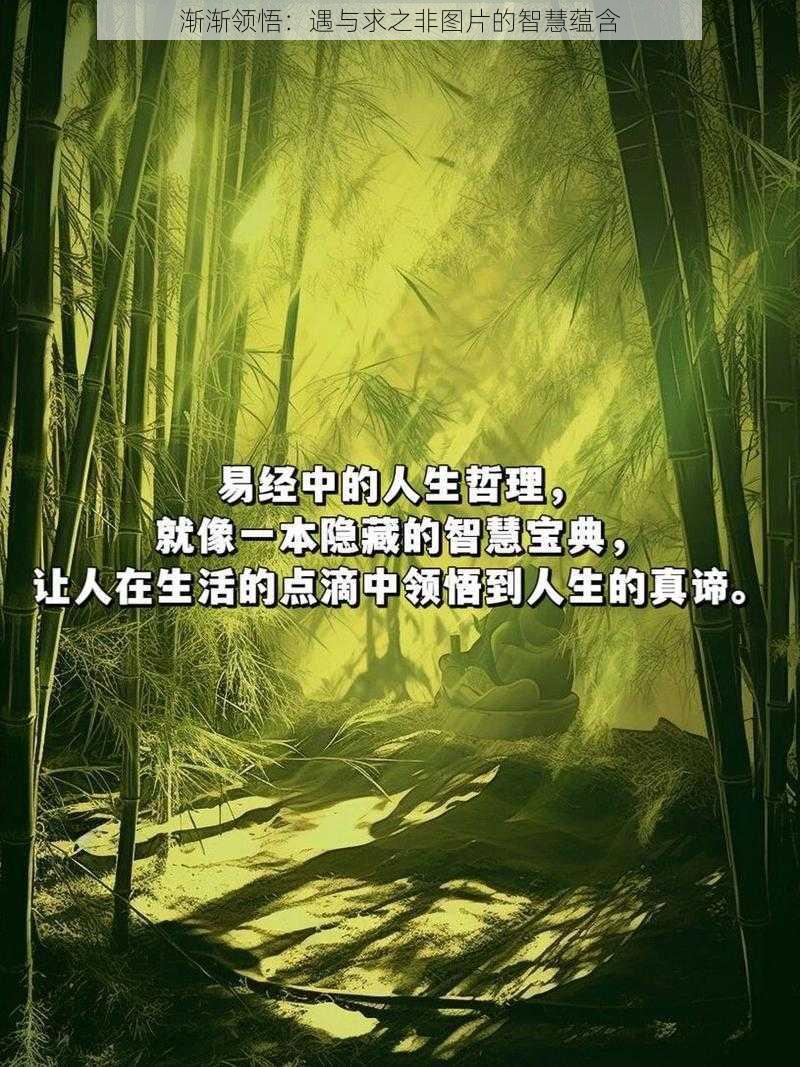 渐渐领悟：遇与求之非图片的智慧蕴含