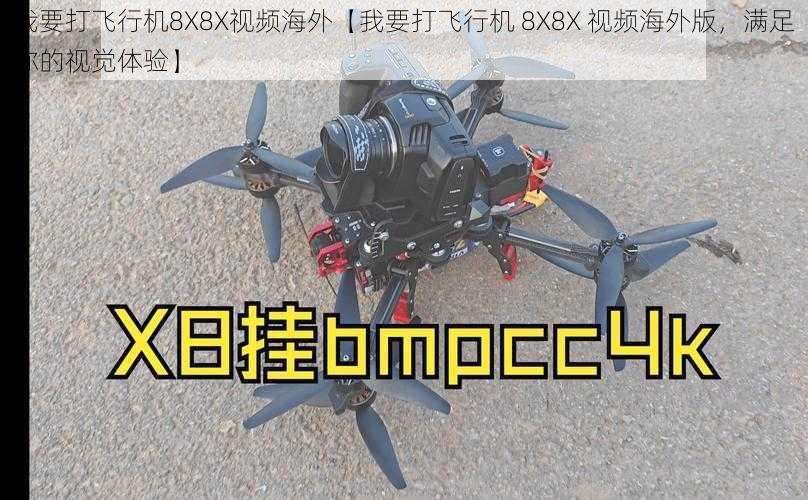 我要打飞行机8X8X视频海外【我要打飞行机 8X8X 视频海外版，满足你的视觉体验】