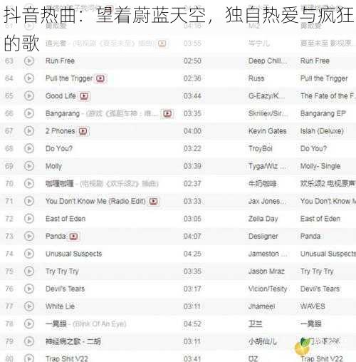 抖音热曲：望着蔚蓝天空，独自热爱与疯狂的歌