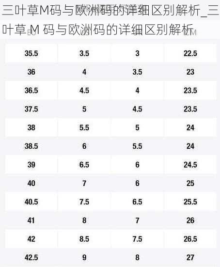 三叶草M码与欧洲码的详细区别解析_三叶草 M 码与欧洲码的详细区别解析