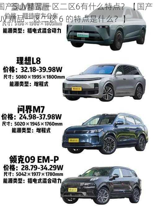 国产SUV精品一区二区6有什么特点？【国产 SUV 精品一区二区 6 的特点是什么？】