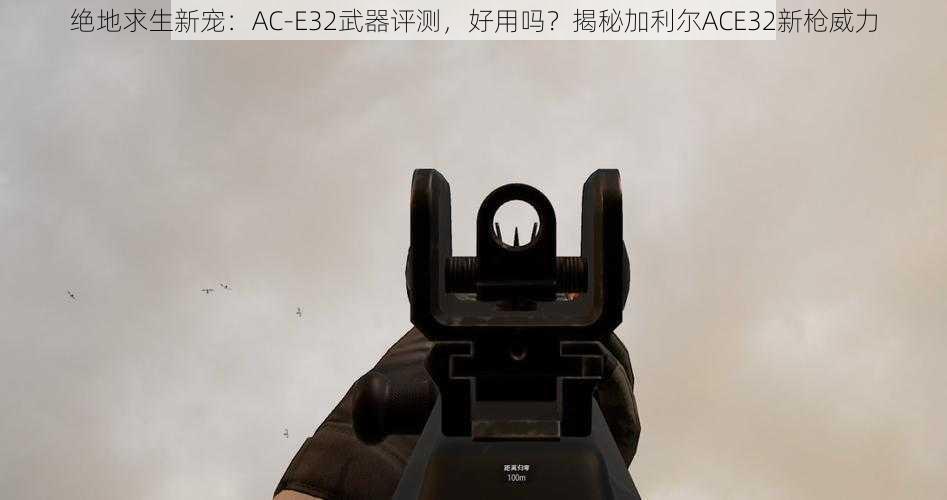 绝地求生新宠：AC-E32武器评测，好用吗？揭秘加利尔ACE32新枪威力