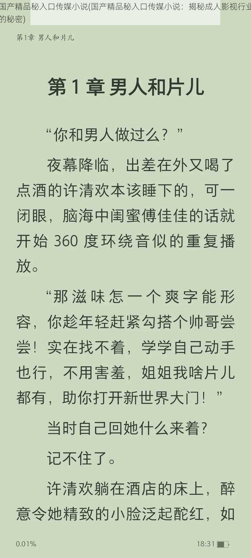 国产精品秘入口传媒小说(国产精品秘入口传媒小说：揭秘成人影视行业的秘密)