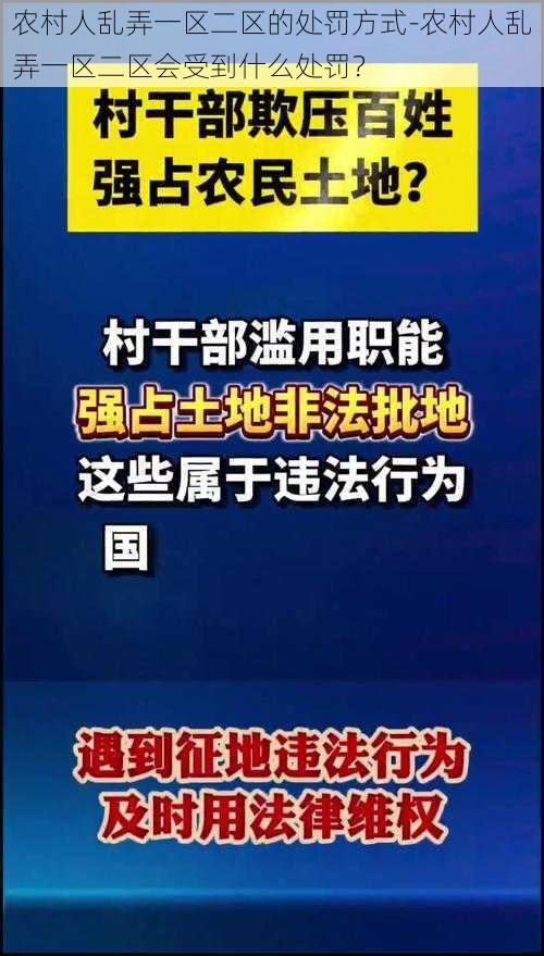 农村人乱弄一区二区的处罚方式-农村人乱弄一区二区会受到什么处罚？