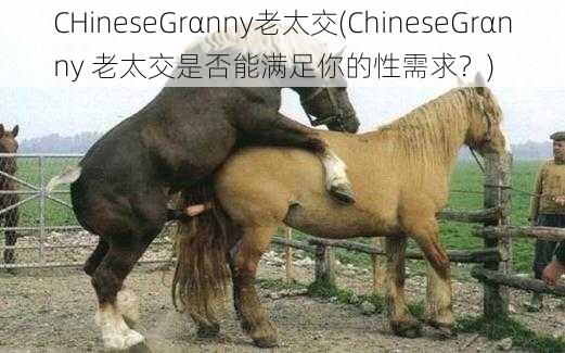 CHineseGrαnny老太交(ChineseGrαnny 老太交是否能满足你的性需求？)