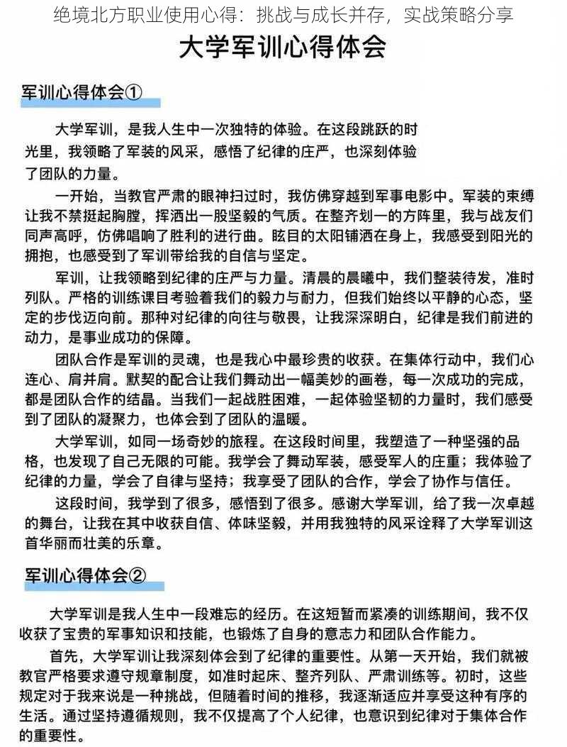 绝境北方职业使用心得：挑战与成长并存，实战策略分享