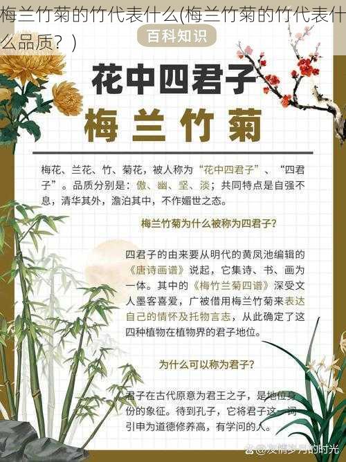 梅兰竹菊的竹代表什么(梅兰竹菊的竹代表什么品质？)